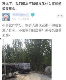 河北美院爆料视频大全最新,揭秘校园风云与艺术魅力